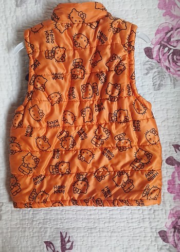 sıcak tutan, hiçbir bir kusuru olmayan çok kullanışlı yelek - Görsel 2