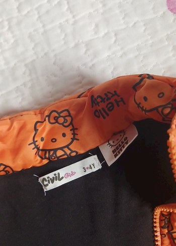 sıcak tutan, hiçbir bir kusuru olmayan çok kullanışlı yelek - Görsel 3