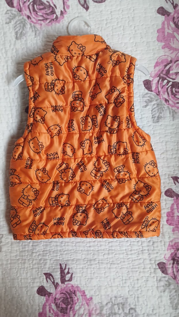 sıcak tutan, hiçbir bir kusuru olmayan çok kullanışlı yelek - Görsel 2