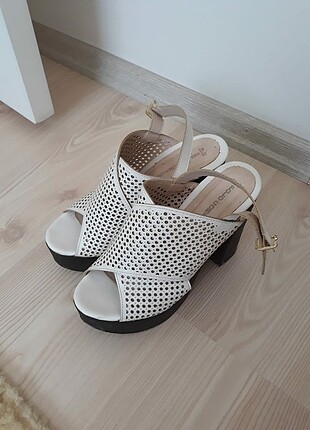 Mango Tanesi 30 TL .Çabuk alan kazanif