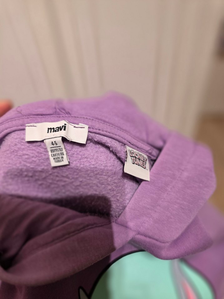 Mor Bugs Bunny Baskılı Kapüşonlu Sweatshirt - Görsel 4