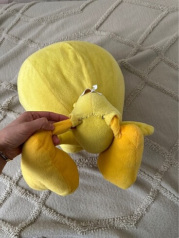  Beden Tweety