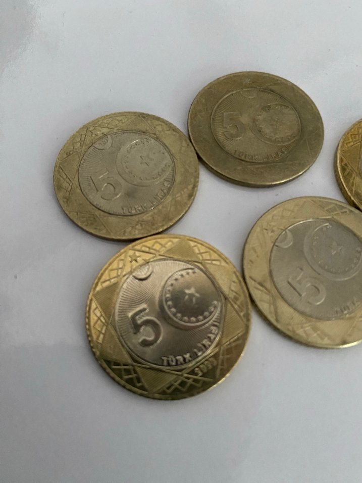 100. Yıl 5 lira, beş lira. - Görsel 5