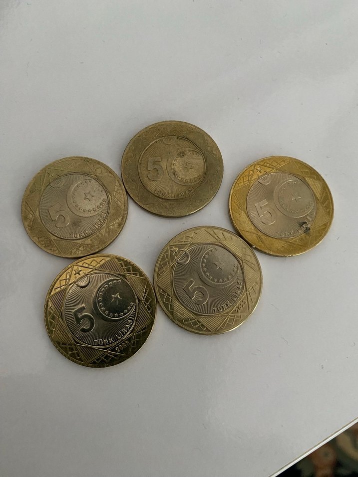 100. Yıl 5 lira, beş lira. - Görsel 3