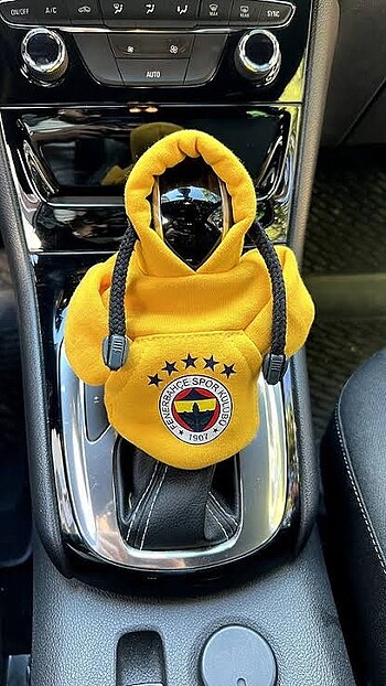 Fenerbahçe Araba Vitesi Polar