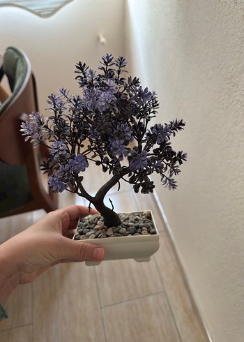  Beden Mor ve Gri Dekoratif Saksı Çiçeği