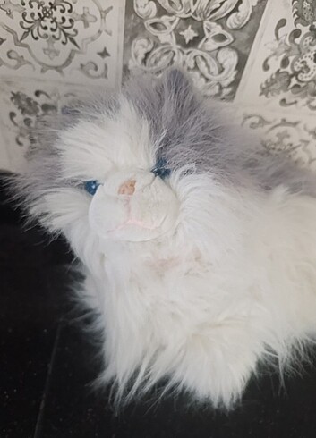 Peluş kedicik