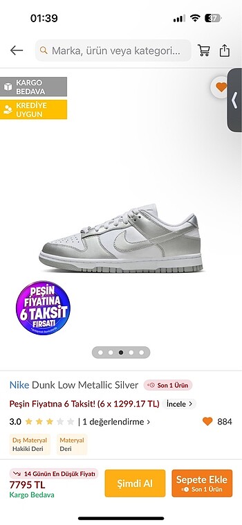 Nike dunk silver