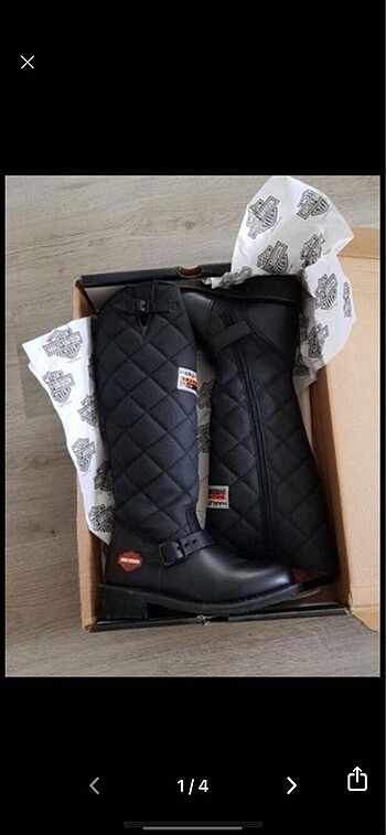 Harley Davidson laconia çizme