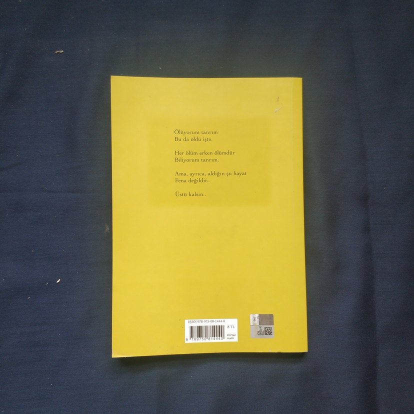 Üstü Kalsın - Cemal Süreya - Görsel 2