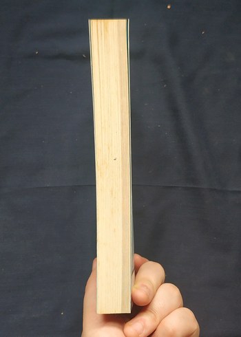 Senin Değilim - Ceren Deniz Yıldız - Görsel 4