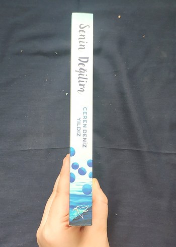 Senin Değilim - Ceren Deniz Yıldız - Görsel 3