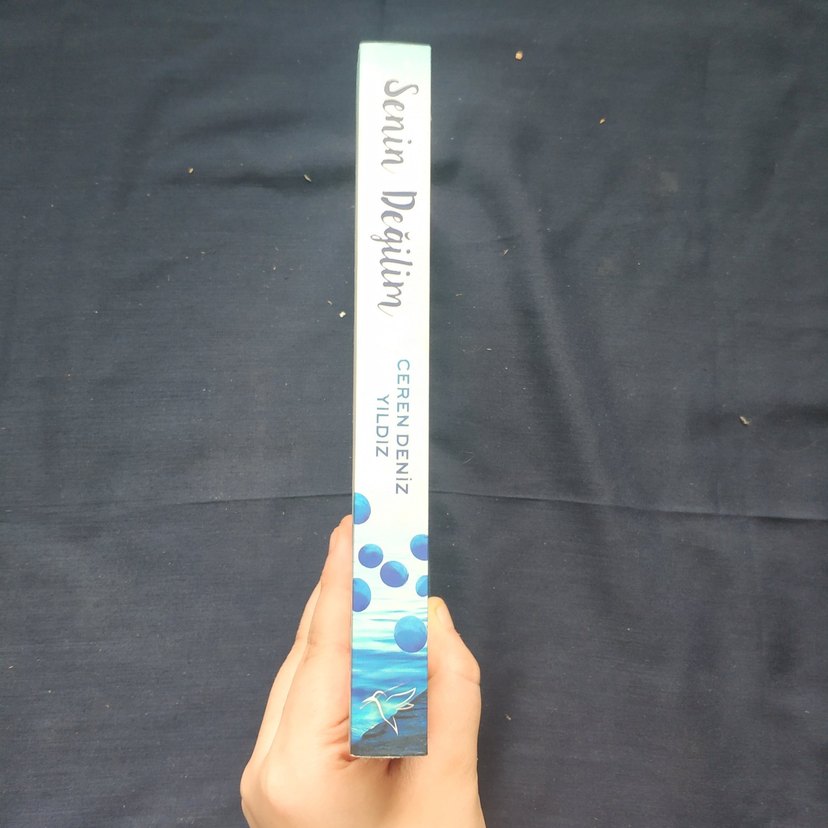 Senin Değilim - Ceren Deniz Yıldız - Görsel 3