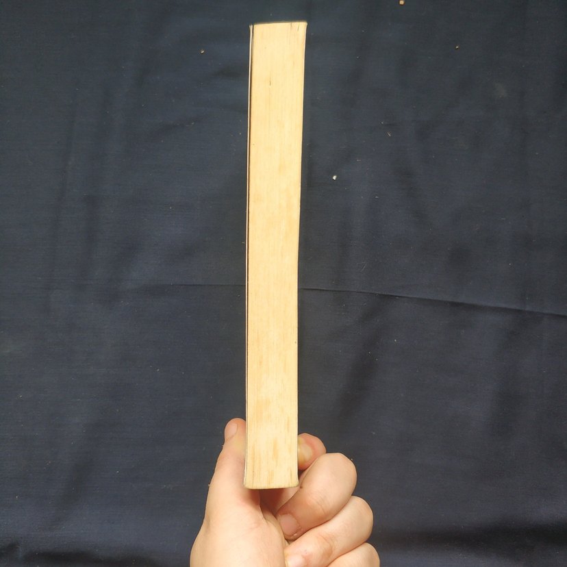 Saklı İkiz - Sibel Güler - Görsel 4