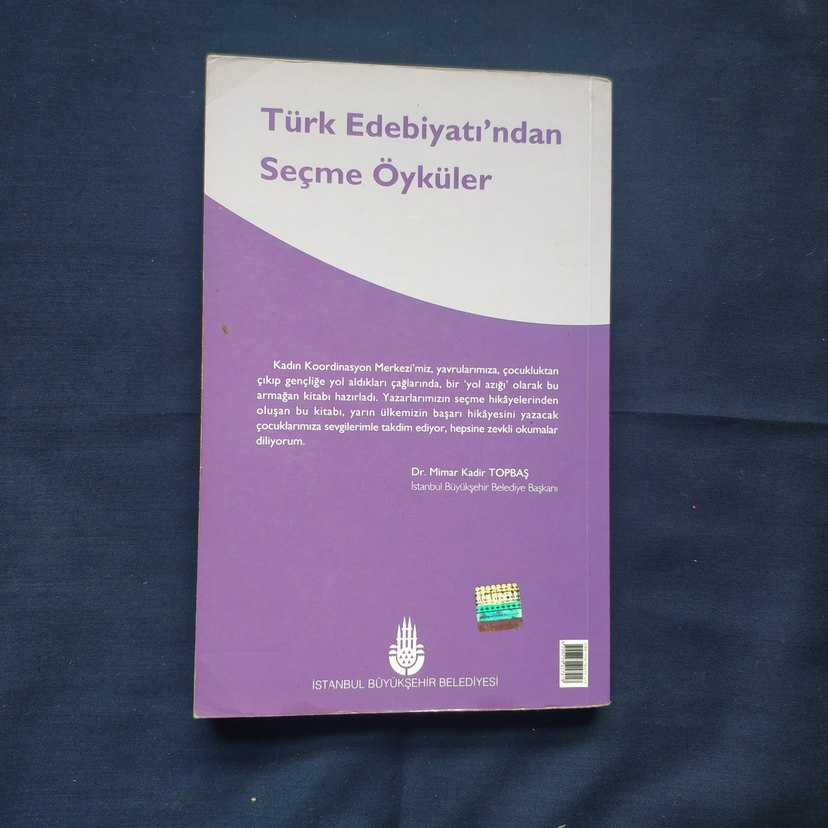 Türk Edebiyatı'ndan Seçme Öyküler Kitabı - Görsel 2