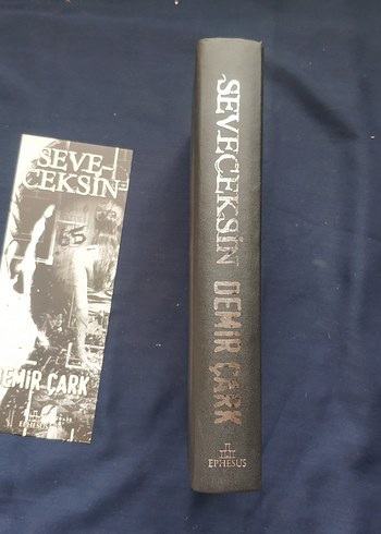 Seveceksin - Demir Çark - Görsel 8