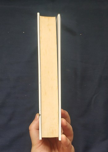 Seveceksin - Demir Çark - Görsel 4