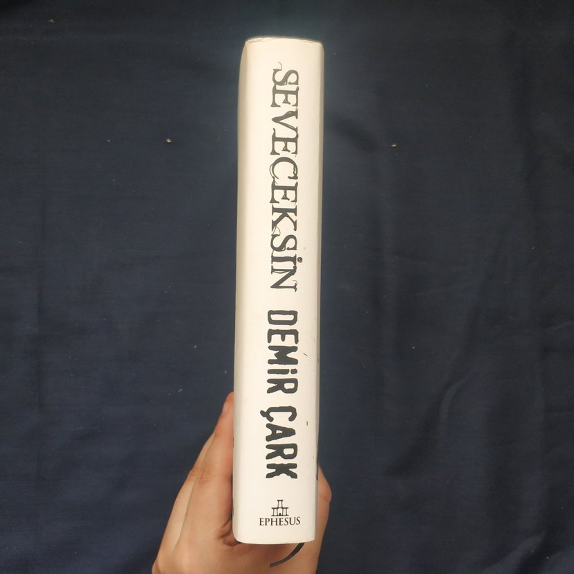 Seveceksin - Demir Çark - Görsel 3