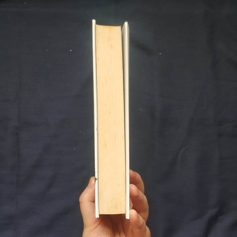 Seveceksin - Demir Çark - Görsel 4