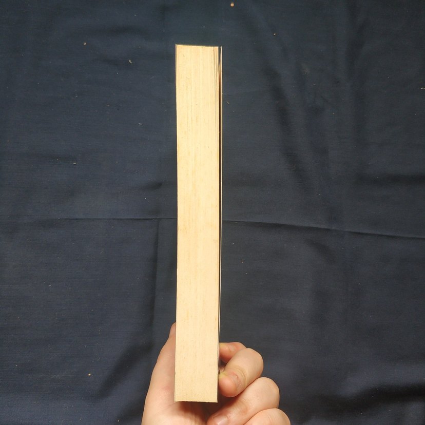 Mr. Mazoşist - Nimet Karakaş - Görsel 4