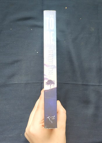 Töre - Aycannur İnce - Görsel 3