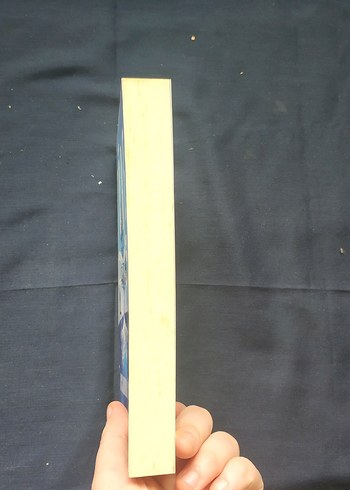 Töre - Aycannur İnce - Görsel 4