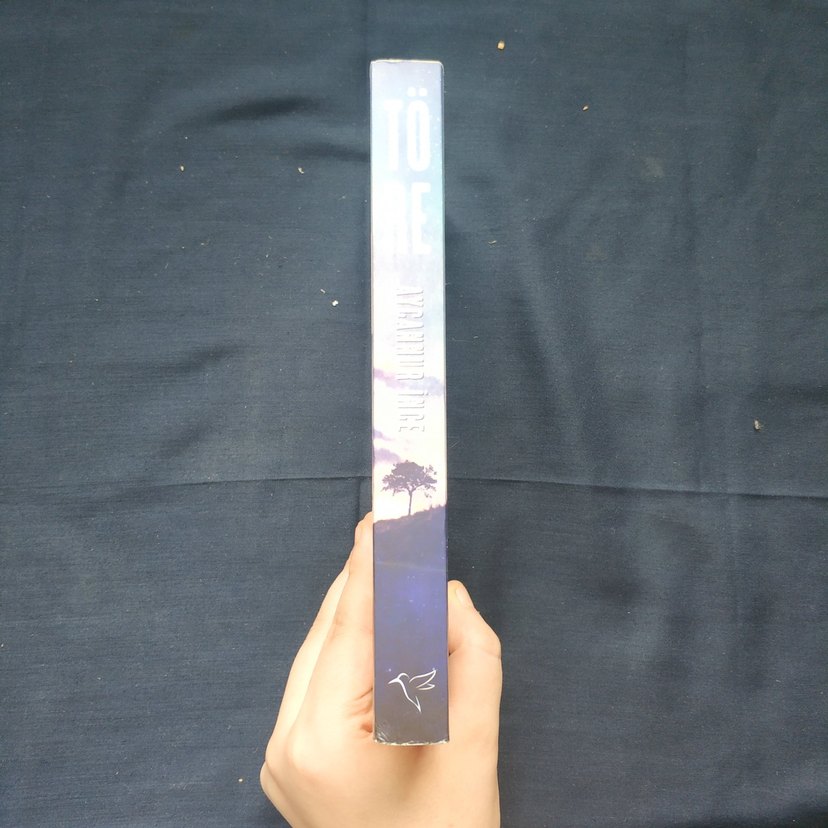 Töre - Aycannur İnce - Görsel 3