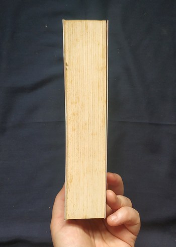 Seni Bana Vermişler - Elif Yağmur Urfalıoğlu - Görsel 4