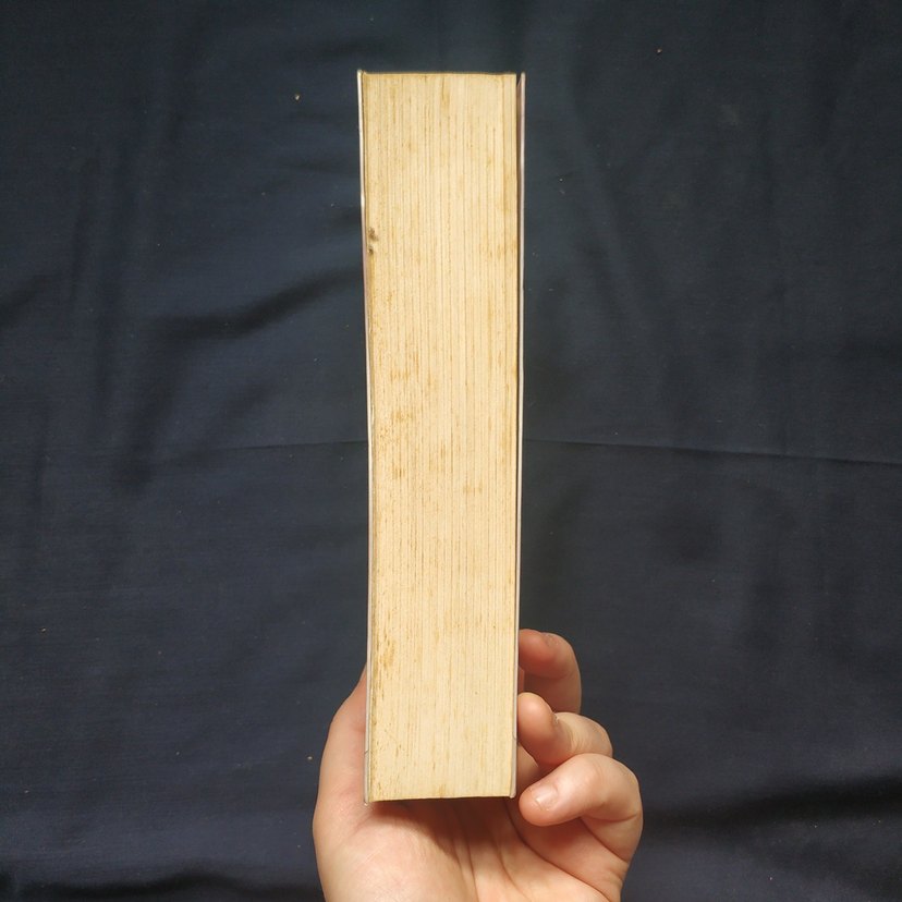 Seni Bana Vermişler - Elif Yağmur Urfalıoğlu - Görsel 4