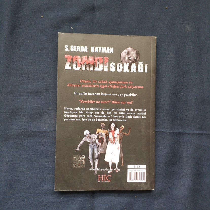 Zombi Sokağı - Serda Kayman - Görsel 2