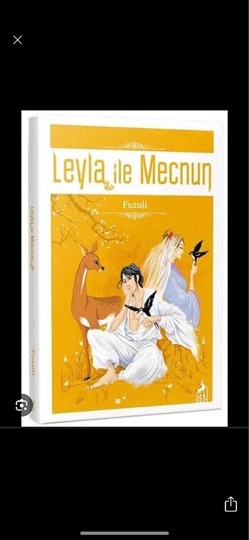 Leyla İle Mecnun Kitap