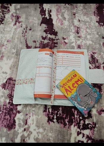 Çok Bölmeli Çok Renkli Gri Planlayıcı