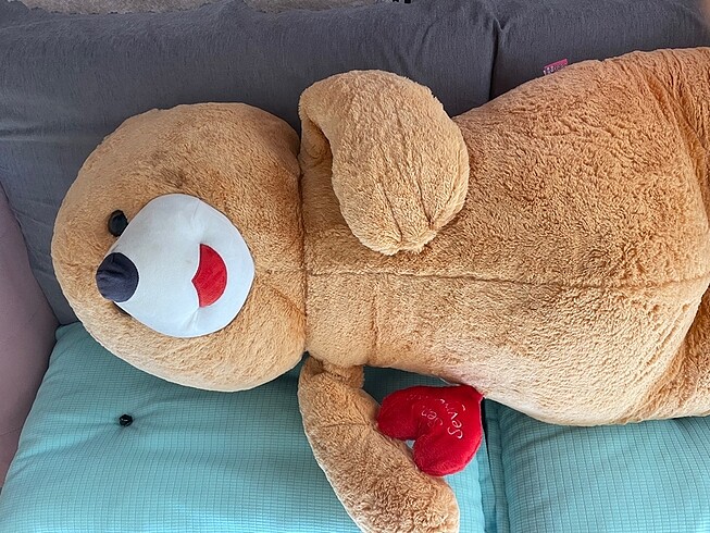  Beden Peluş Ayıcık
