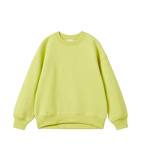 Zara sweatshirt