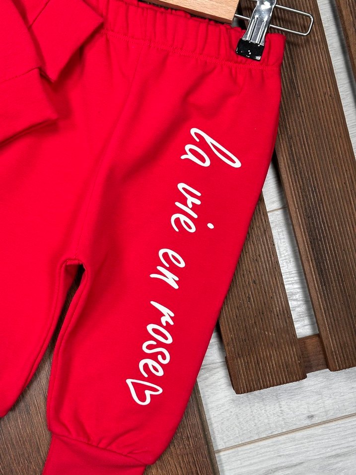 FIRSAT! Prenseslere Özel Nakışlı Takım (2 yaş) - Görsel 4