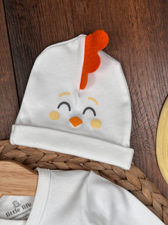  Minik civcivlere yakışan tatlılık! - Görsel 4