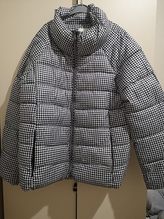 koton mont 