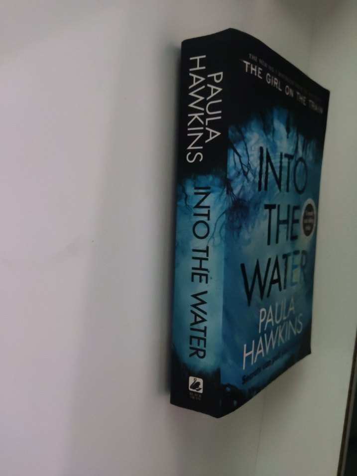 Paula Hawkins - Into the Water Romanı - Görsel 3