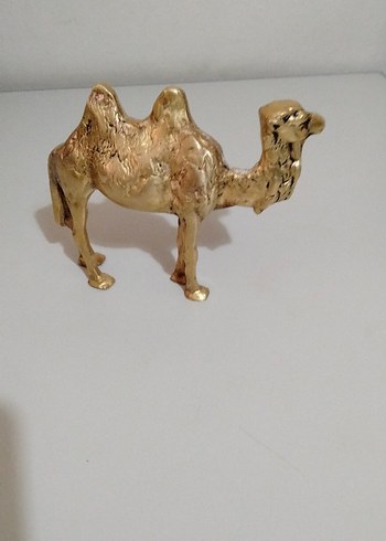 Beden camel Renk Pirinç Deve
