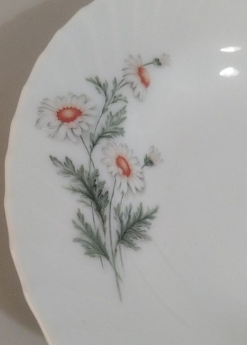 Papatya tabaklar - Görsel 8