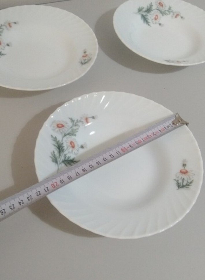 Papatya tabaklar - Görsel 2