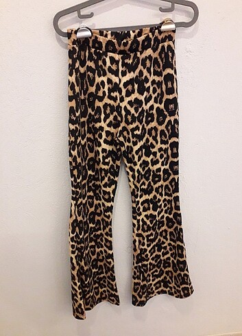 Leopar 