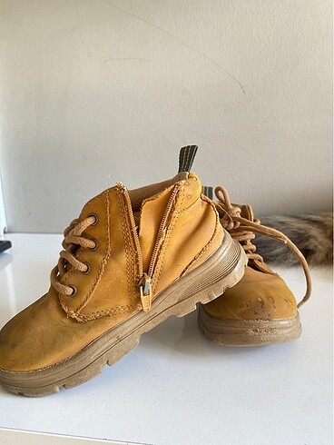 24 Beden Zara bot