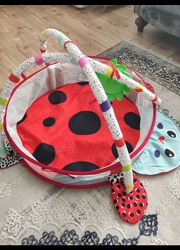 Moli eğitici oyun havuzu 