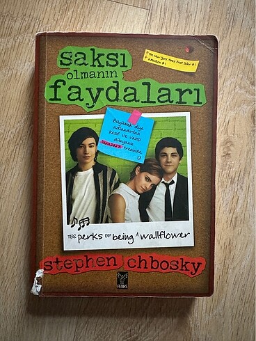 Saksı Olmanın Faydaları Kitap
