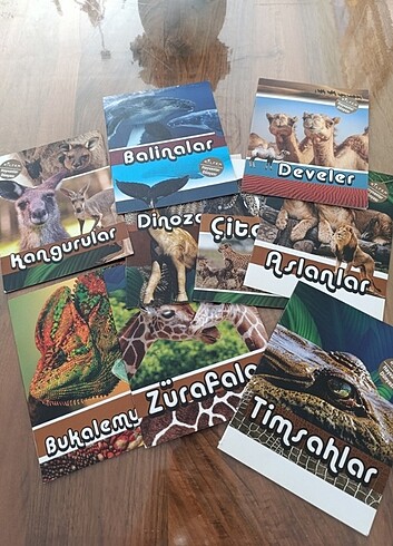 Bilfen hayvanlar dünyası 9 adet