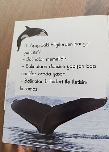  Bilfen hayvanlar dünyası 9 adet