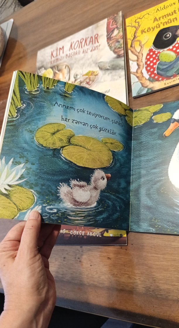 Çocuklar için 4 Kitap Seti - Görsel 2