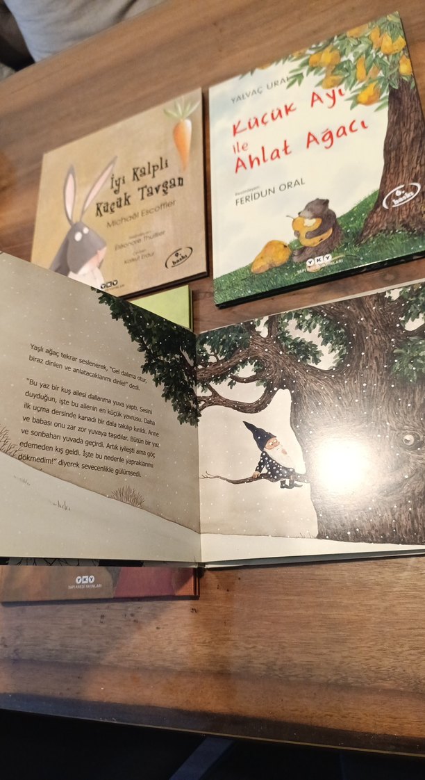Çocuk Kitapları Seti - 4 Kitap - Görsel 2