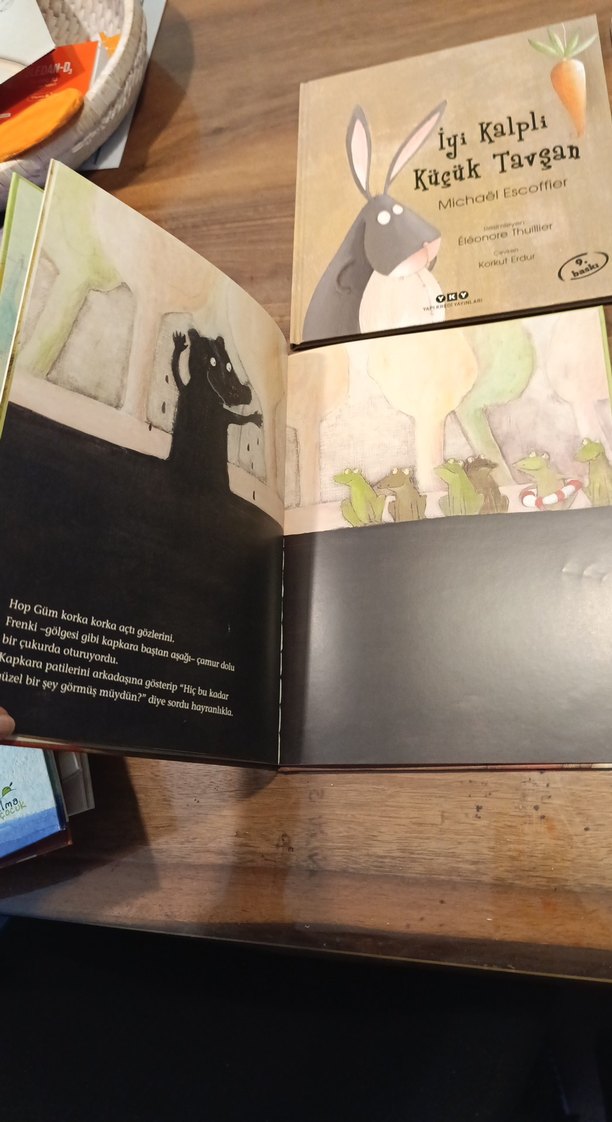 Çocuk Kitapları Seti - 4 Kitap - Görsel 3